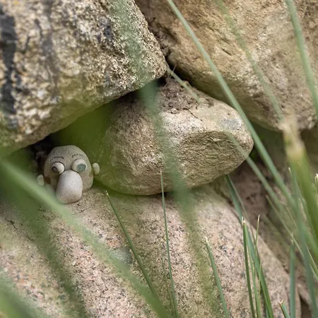 Reetdachhaus Nautilus Nyaraló *